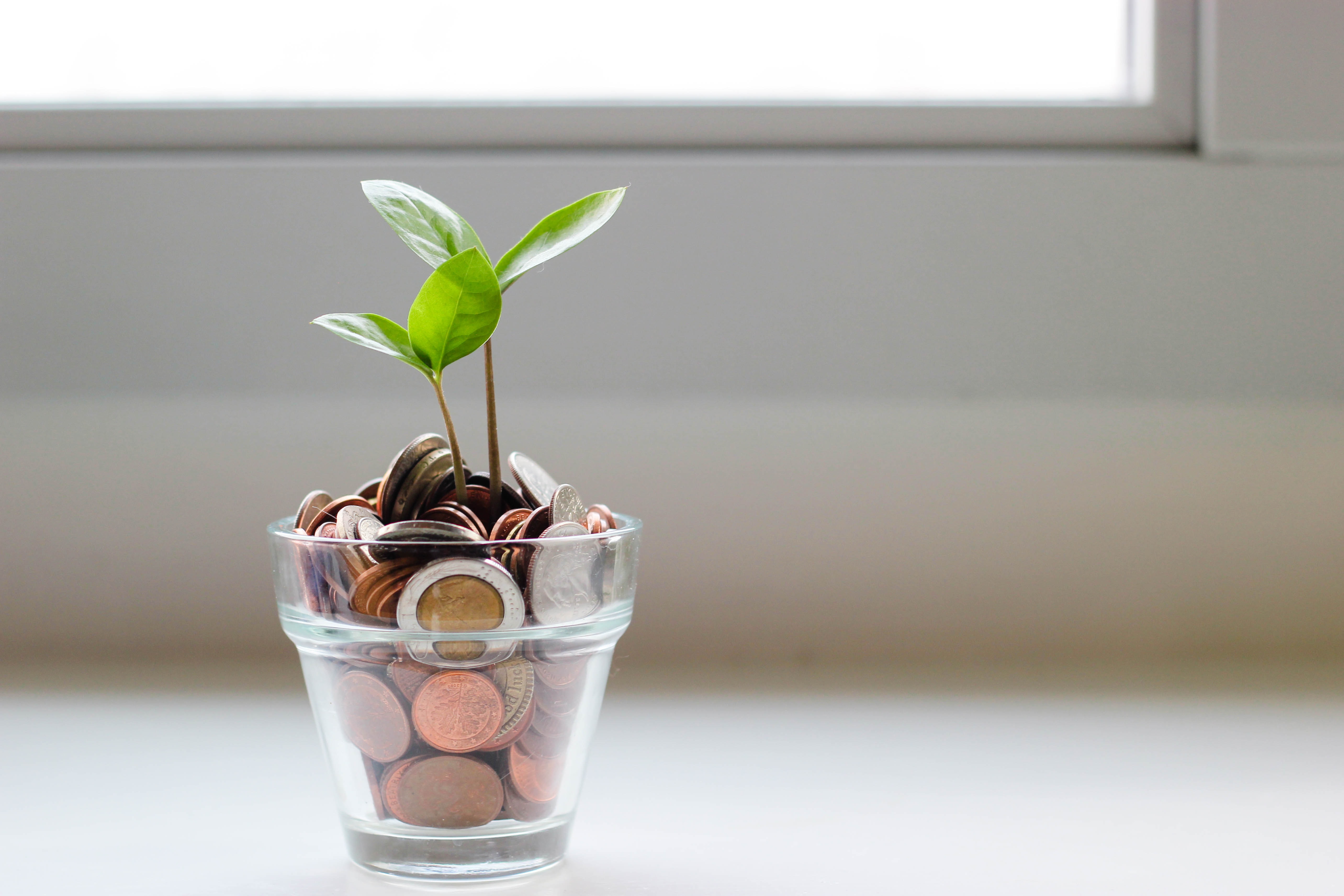 A small glass with coins in it, a plant emerging from the coins.