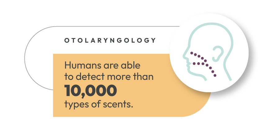 Otolaryngology | Humans are able to detect more than 10,000 types of scents. | Dr.Bill